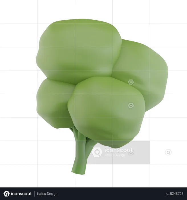 Broccoli  3D Icon