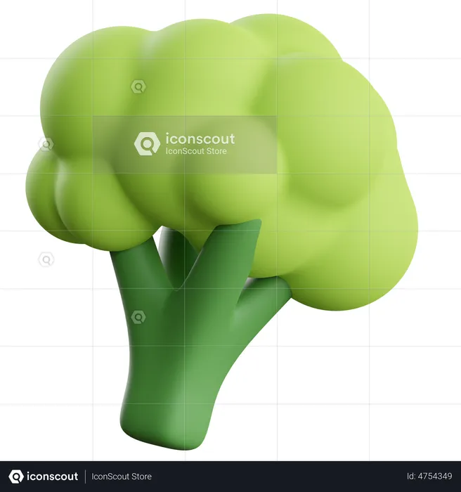 Broccoli  3D Illustration