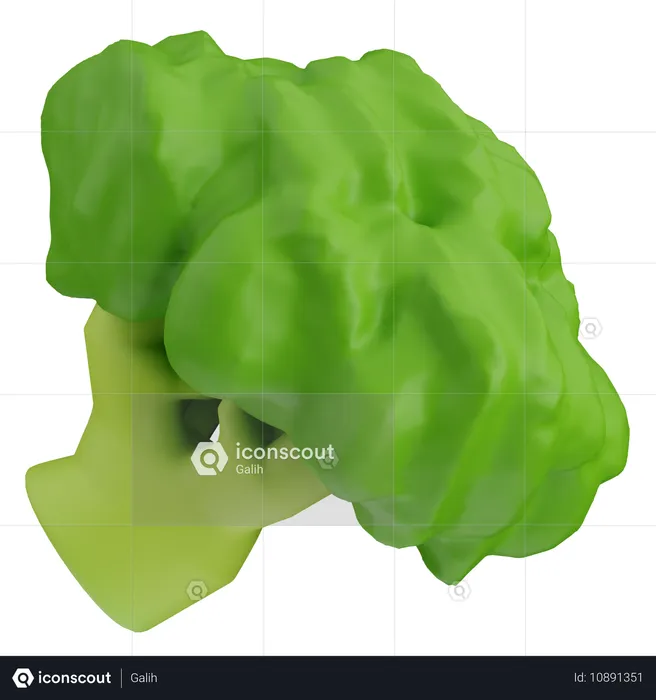 Brocoli  3D Icon