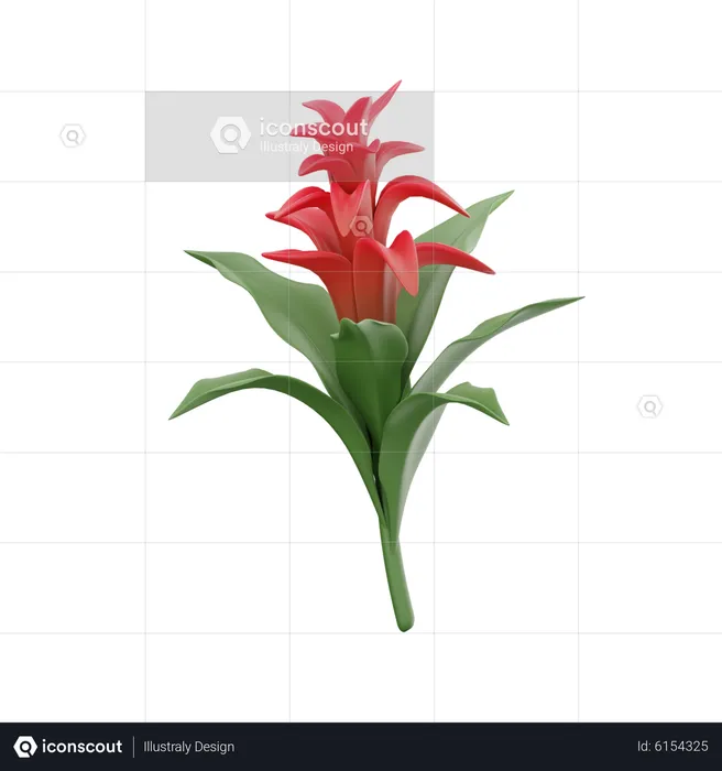 Bromelia  3D Icon