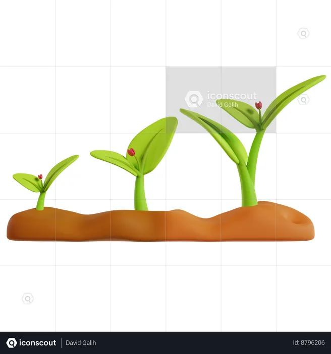 Brotando plantas verdes  3D Icon