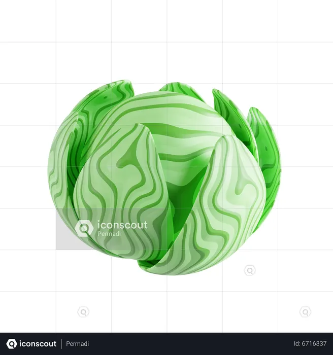 Brussels sprouts  3D Icon