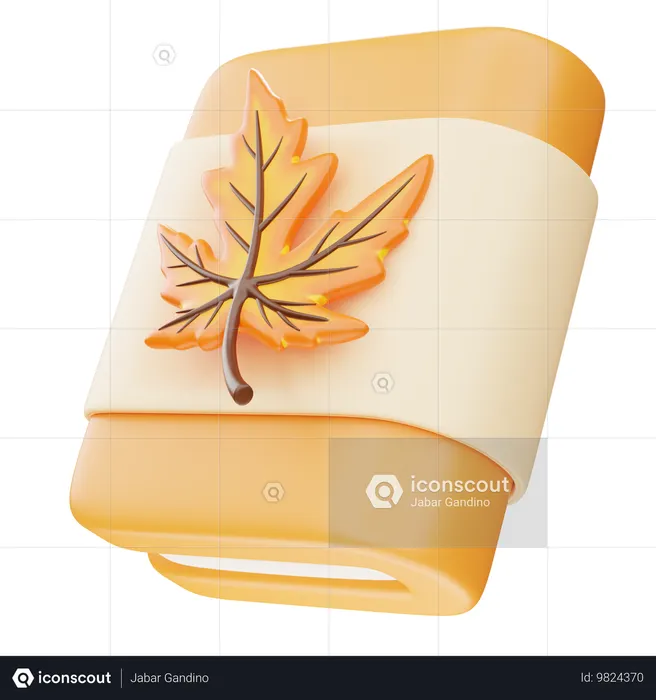 Buch  3D Icon