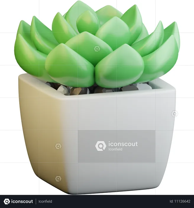 Plante de bureau  3D Icon