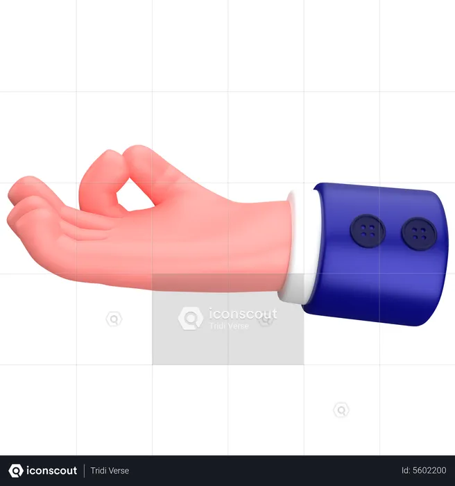 Businessman Gyan mudra hand gesture  3D Icon