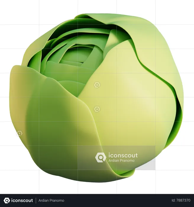 Cabbage  3D Icon