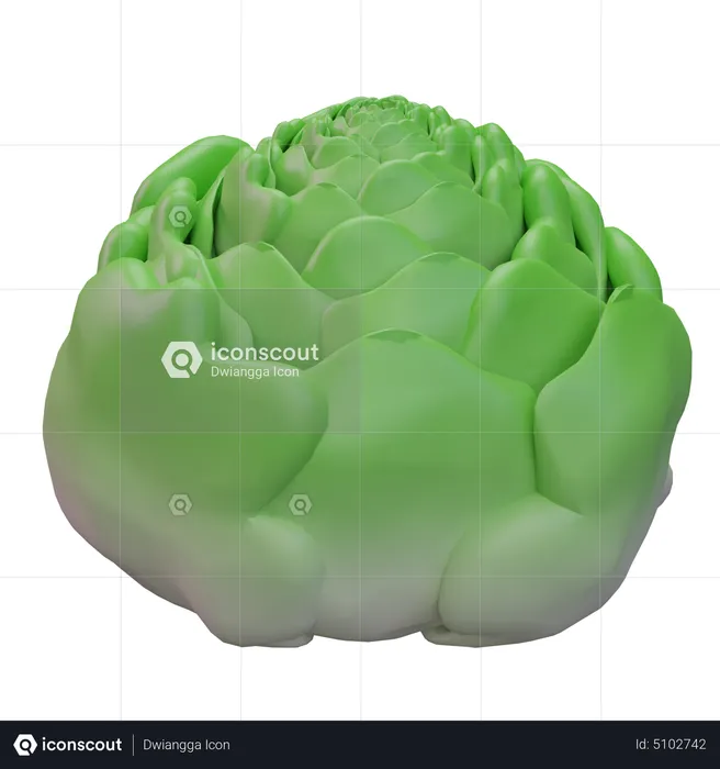 Cabbage  3D Icon