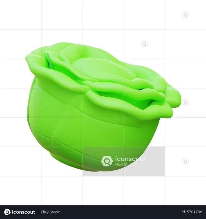 Cabbage  3D Icon