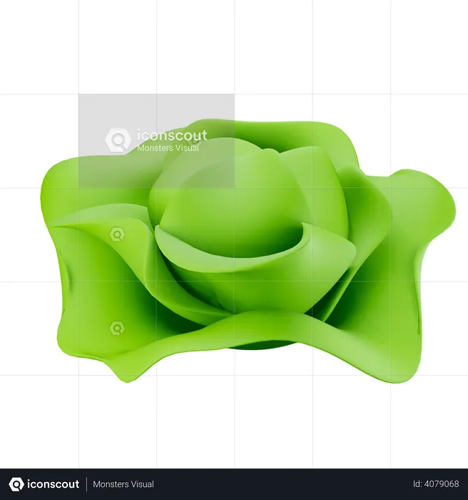 Cabbage  3D Illustration