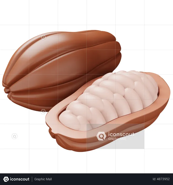 Cacao  3D Icon