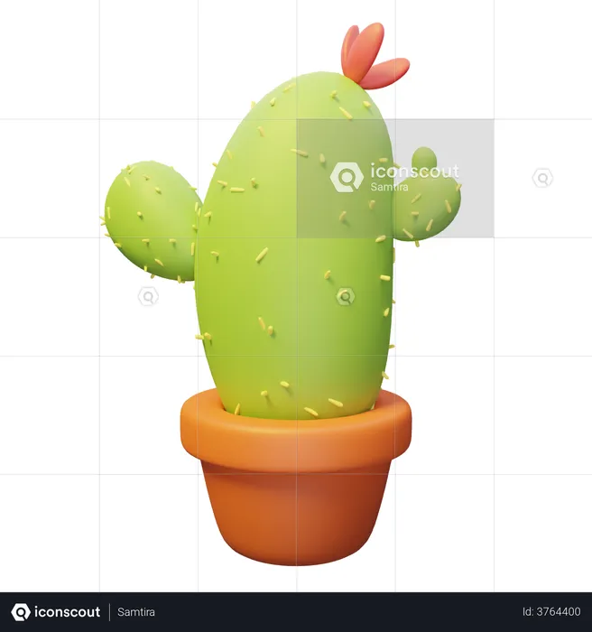 Cacti Plant  3D Illustration