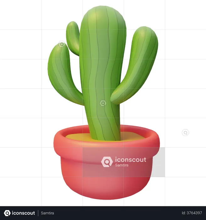 Cacti Plant  3D Illustration