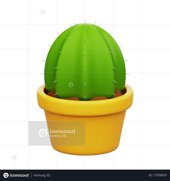 Planta de cacto  3D Icon