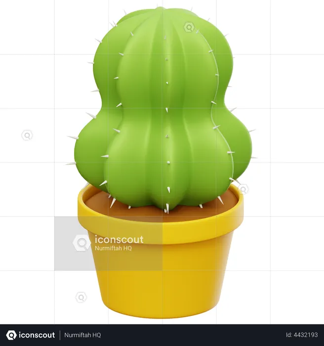 Planta de cacto  3D Icon