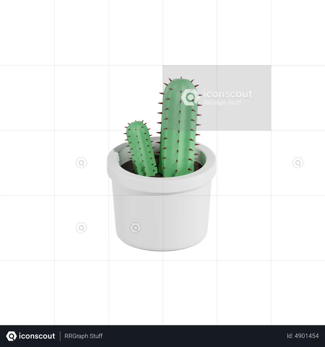 Planta de cacto  3D Icon