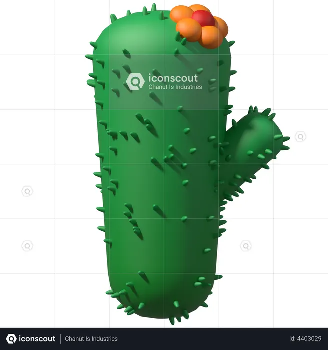 Cactus  3D Illustration