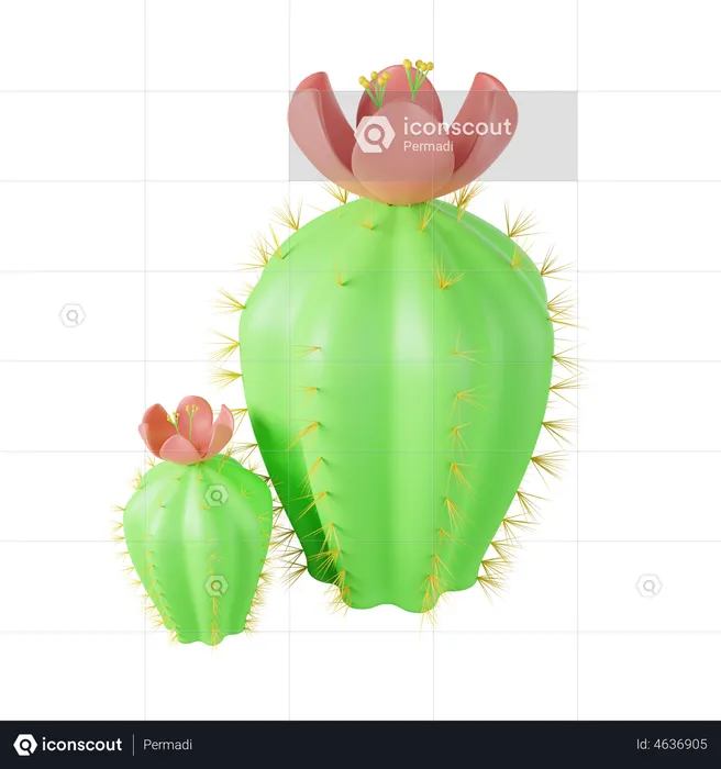 Cactus  3D Illustration