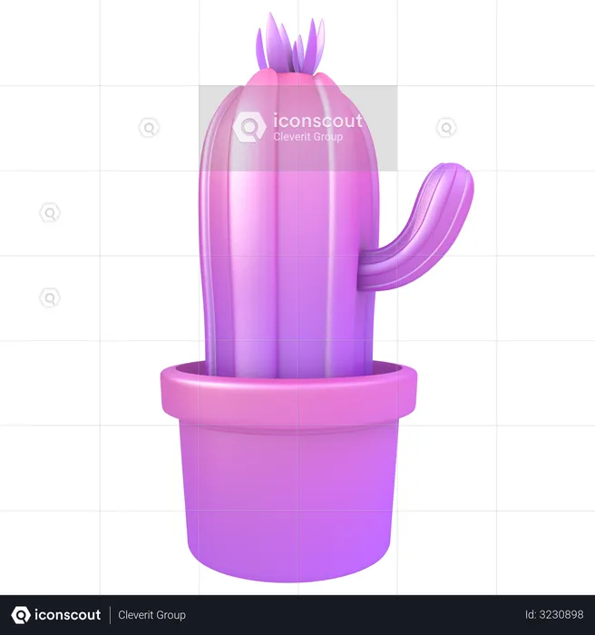 Cactus  3D Illustration