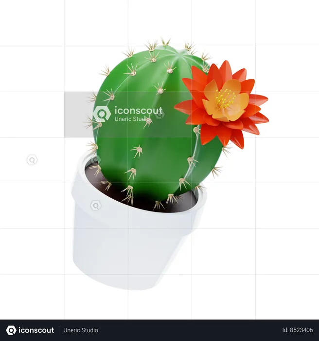 Cactus Flower  3D Icon