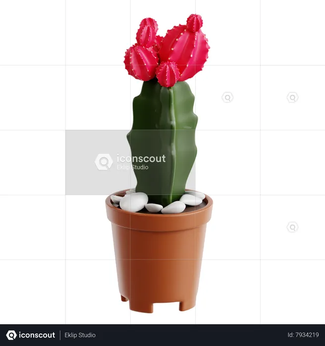 Cactus luna  3D Icon