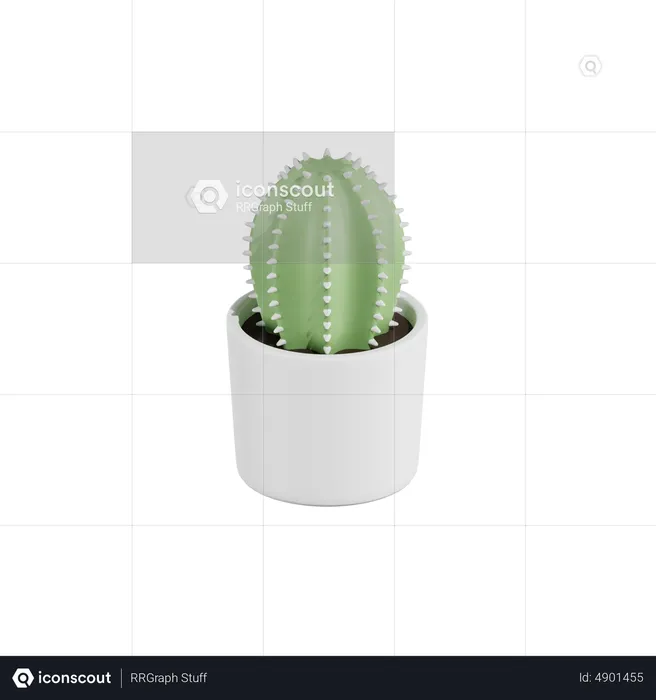 Cactus Plant  3D Icon