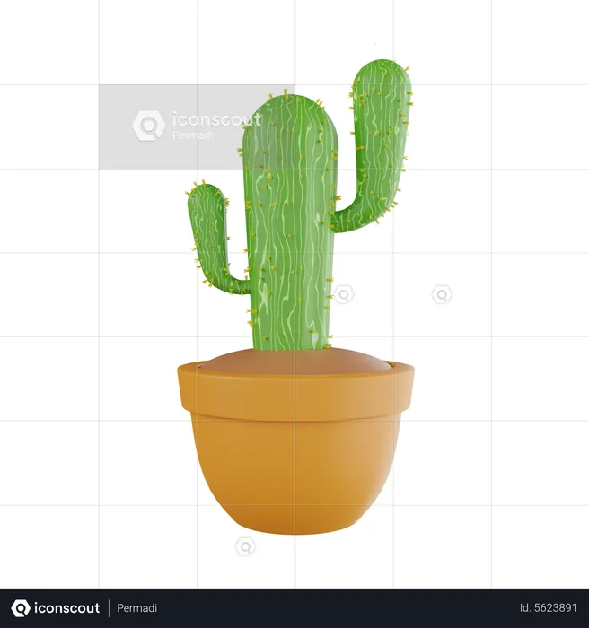 Cactus Plant  3D Icon