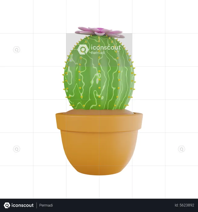 Cactus Plant  3D Icon