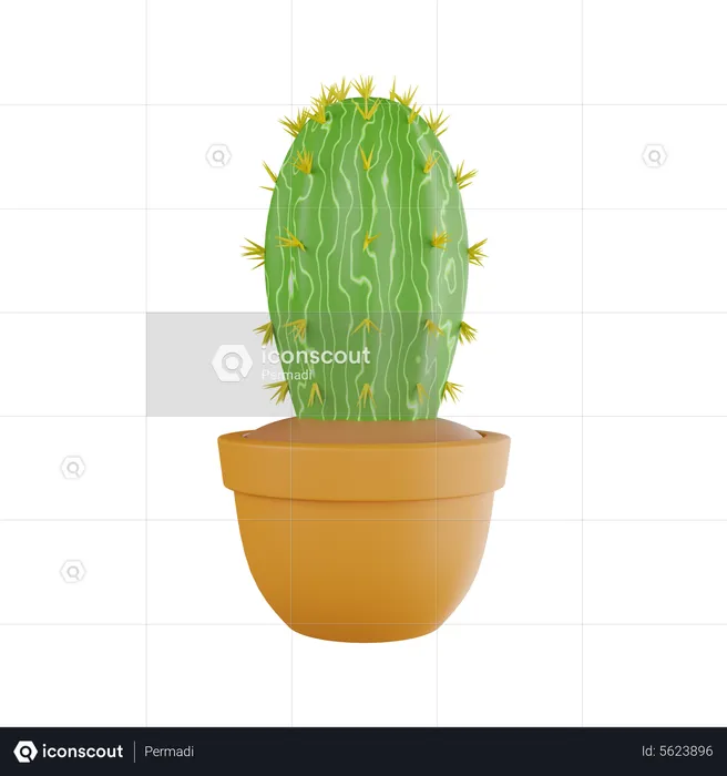 Cactus Plant  3D Icon