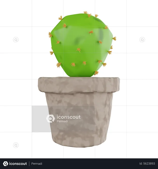 Cactus Plant  3D Icon