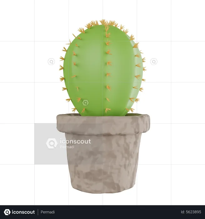 Cactus Plant  3D Icon