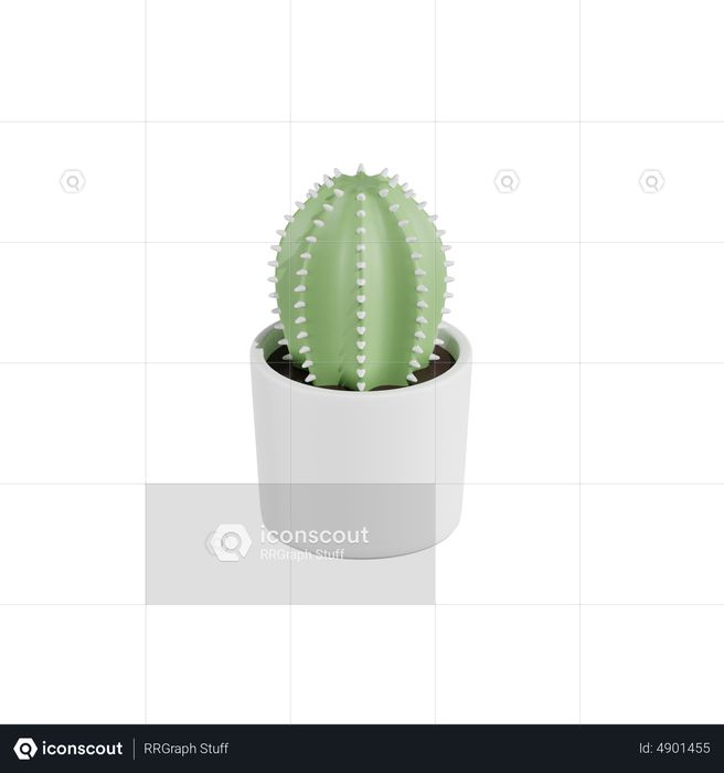 Cactus Plant 3D Icon