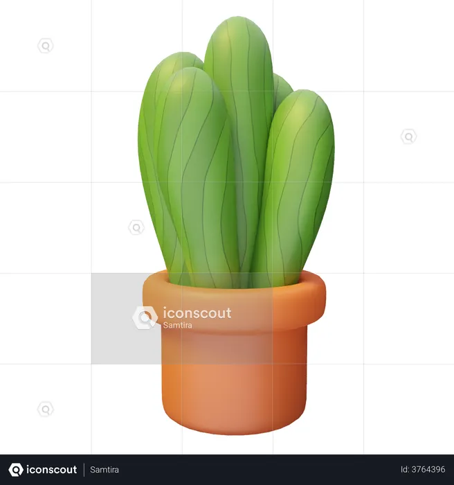 Cactus Plant Pot  3D Illustration