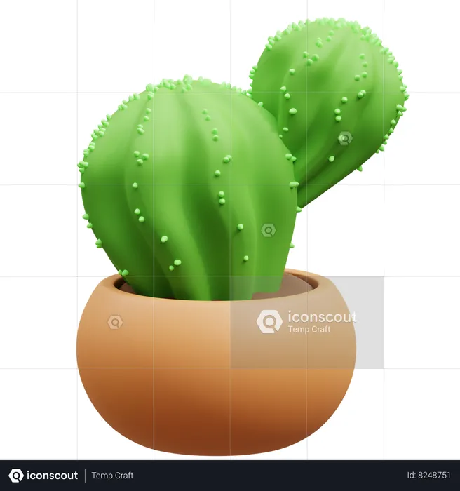 Cactus Pot  3D Icon