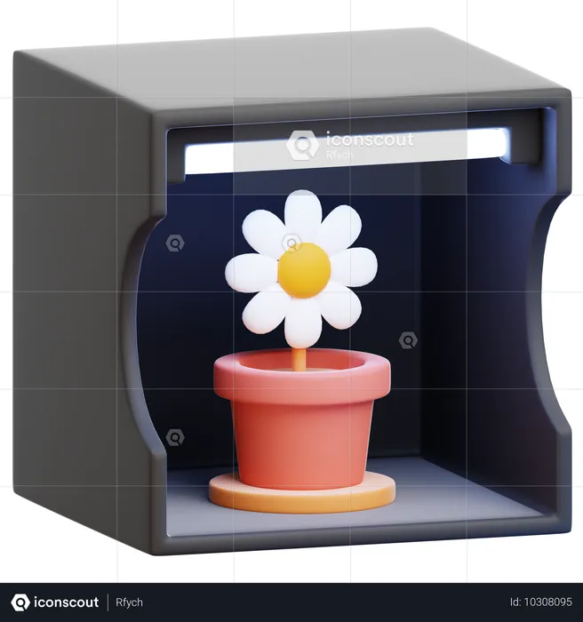 Caja ligera  3D Icon