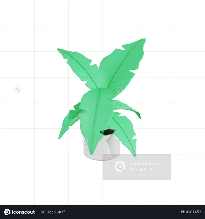 Calathea Lutea Plant  3D Icon