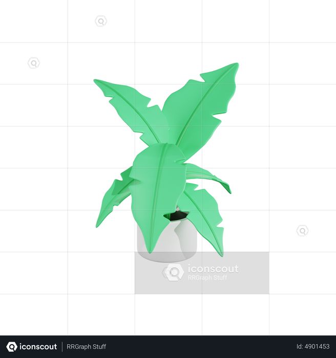 Calathea Lutea Plant 3D Icon