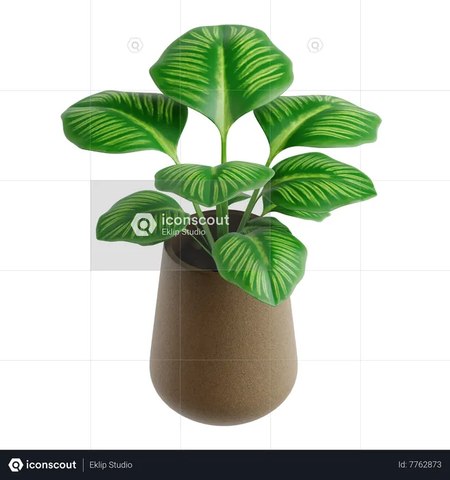 Calathea Orbifilia  3D Icon