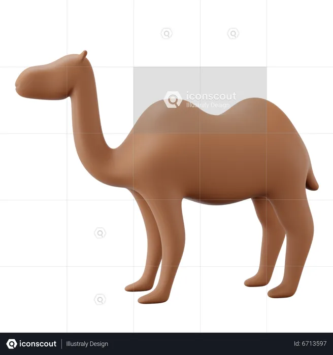 Camel  3D Icon