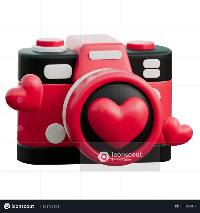 Appareil photo de mariage  3D Icon