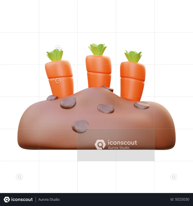 Campo de zanahorias  3D Icon