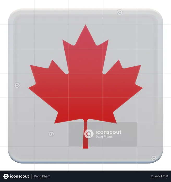 Canada Flag Flag 3D Illustration