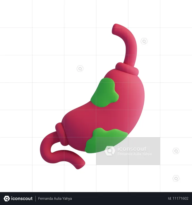 Cáncer de estómago  3D Icon