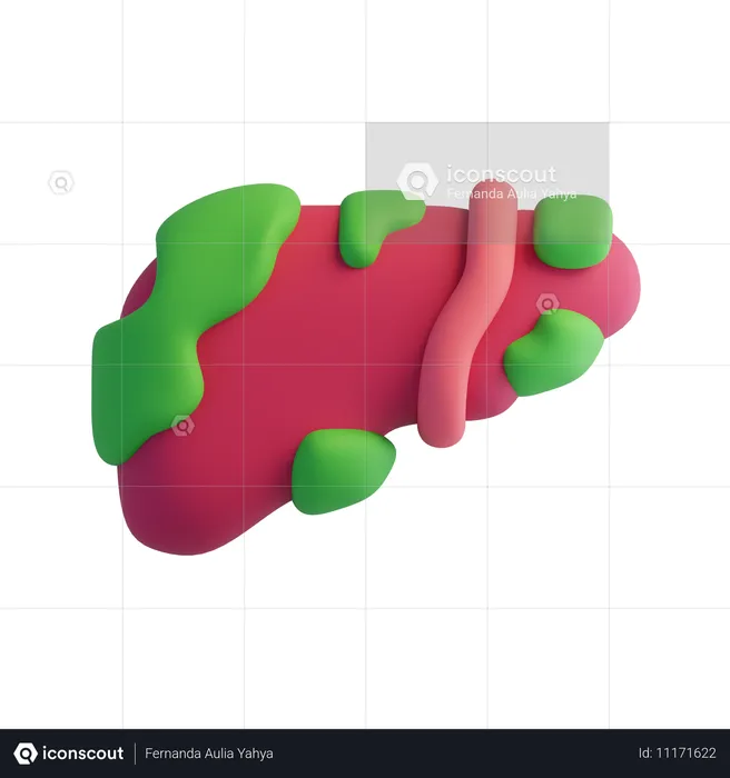 Câncer de fígado  3D Icon