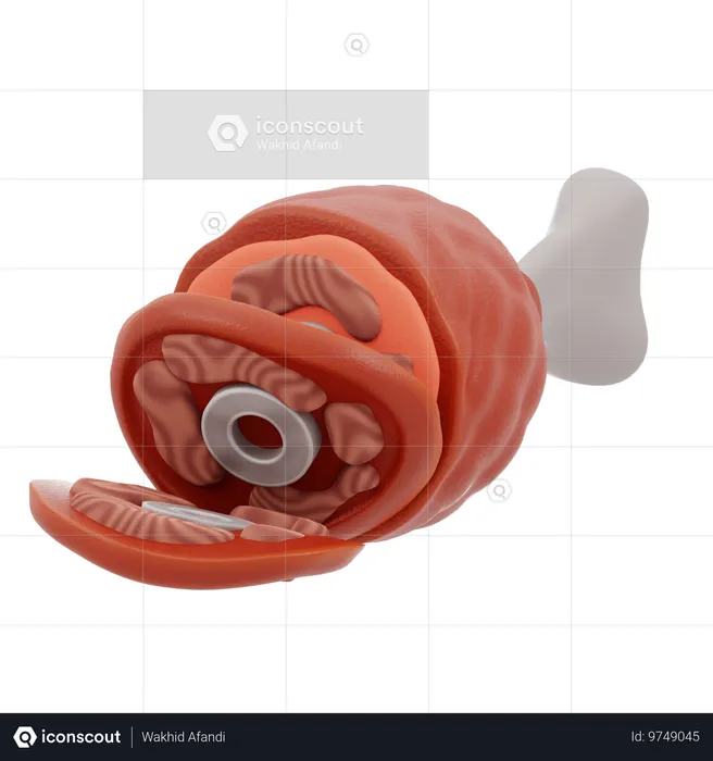 Carne  3D Icon