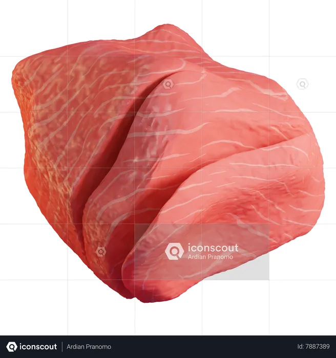Carne de res  3D Icon