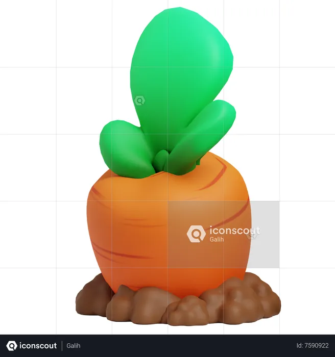 Carrot  3D Icon