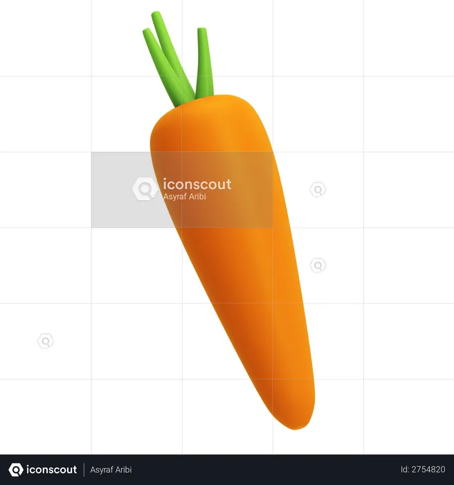 Carrot  3D Illustration