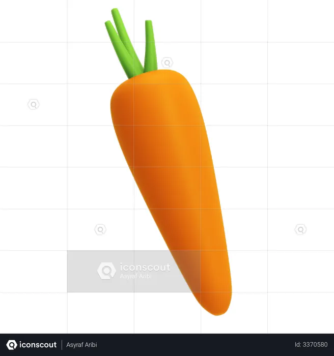 Carrot  3D Illustration