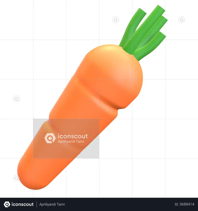 Carrot  3D Illustration