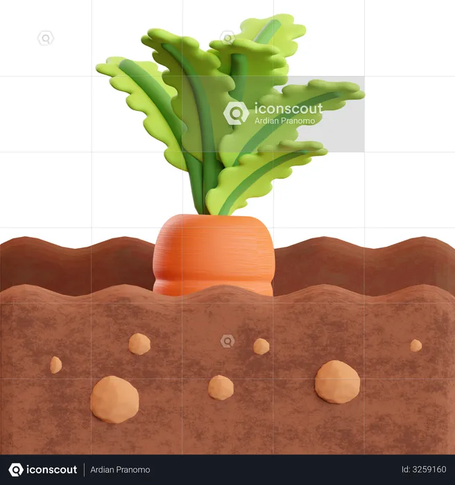 Carrot Farm  3D Illustration